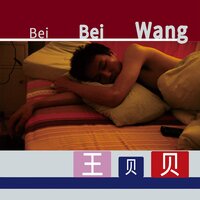 Curriculum Vitae - Wang Wenying