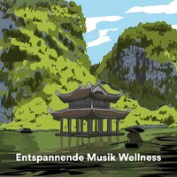 Heaven - Entspannende Musik Wellness & Meditationsmusik Sammlung & Entspannende Musik Spa