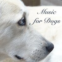 Living in Peace - Dog Whisper & Pet Care Music Therapy & Pet Care Music Therapy & Dog Whisper