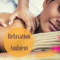 Easy Listening - Shades of Wellness