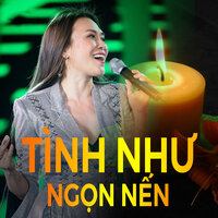 Dấu yêu - Nguyễn Phi Hùng