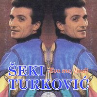 Dozivotna rano moja - Šeki Turković