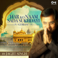 Mere Man Prem Lago Har Teer - Jagjit Singh