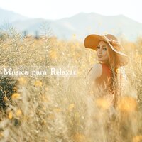 Quiet Nights - Música para Relaxar Maestro & Musica Para Meditar y Relajarse & Música Relajante para Perros