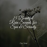 Rains in the Sky - Thunder Storm & Oasis de Détente et Relaxation & Massage Therapy Music