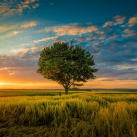 Relaxing music to relieve stress - Soothing Relaxation