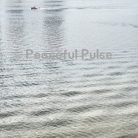 Peaceful Pulse - Peaceful Pulse