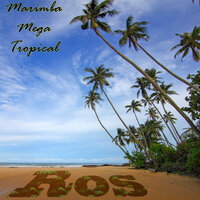 Como Poder Olvidarte - Marimba Mega Tropical