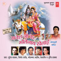 Haali Haali Dengva Badva - Tripti Shakya