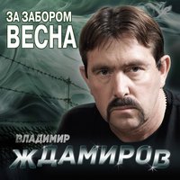 Небеса пацанам - Владимир Ждамиров