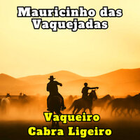 Amar Seus Defeitos - Mauricinho das Vaquejadas