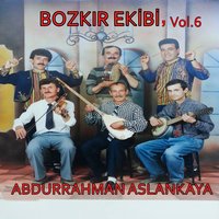 Bir Dalda İki Kiraz - Abdurrahman Aslankaya