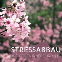 Besänftigende Musik - Gewitter Naturgeräusche Entspannungsmusik