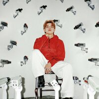 DOVES - Gree