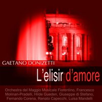 L'elisir d'amore, Act II, Scene 2: "Una furtiva lagrima" (Nemorino) - Giuseppe Di Stefano & Orchestra Del Maggio Musicale Fiorentino & Francesco Molinari-Pradelli & Гаэтано Доницетти