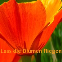 Liebeskummer lohnt sich nicht - Die Ohrenbärte & The World-Band
