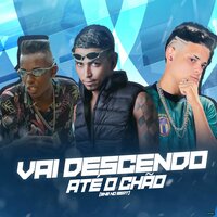 Vai Descendo Até o Chão - Thiaguinho do Recife & Aflexa no Beat & mc petter