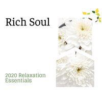 Woodland of Healing - Spa Zen Melodies