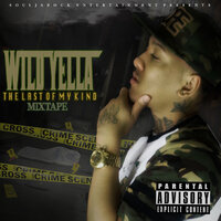 Everything Fucked Up - Wild Yella