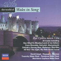 Gwynn Williams: My Little Welsh Home - David Lloyd & John Morgan Nicholas