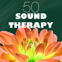 Tai Chi - Sound Therapy Music Specialists