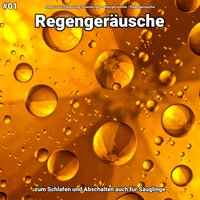 Regengeräusche, pt. 16 - Regen zur Entspannung Susanna Igel & Naturgeräusche & Regengeräusche