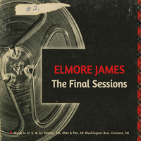 Dust My Broom - Elmore James
