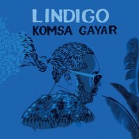 Tokony miaro - Lindigo