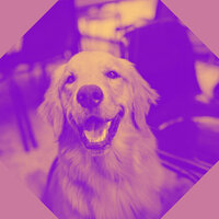 Smoky Ambience for Doggy Stress - Relaxing Music for Dogs