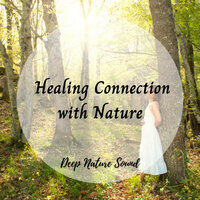 Ants Marching - Natures Orchestra & Massage Therapeutic Music & Yoga Namaste