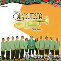 La Señora Cumbia - Grupo Orquesta De Felipe Vazquez