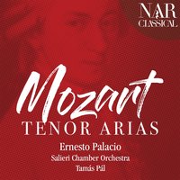 Don Giovanni, K. 527: Il mio tesoro intanto (Don Ottavio) - Salieri Chamber Orchestra & Tamás Pál & Ernesto Palacio & Вольфганг Амадей Моцарт