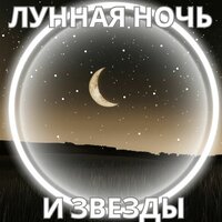 Легкий ветер и звезды - ЗВЕЗДНАЯ НОЧЬ & тихий снег & Тихая ночь