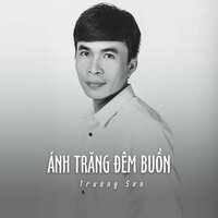 Đêm Về Nhớ Mẹ - Short Version 1 - Trường Sơn