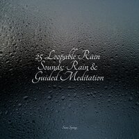 Rainy Beach - Baby Sleep Music & Alpha Waves & Relaxation Personal Guru