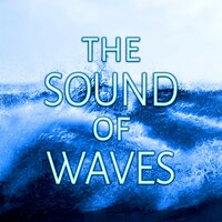 Black Sand Beach - Brain Waves Music Academy