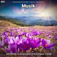 Ruhe in der Gegenwart - Entspannungsmusik & Schlafmusik & Entspannungsmusik zum Einschlafen