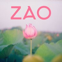 Mindfulness - Meditation Zen Master & Reiki Healing Music Ensemble & Reiki Healing Zone