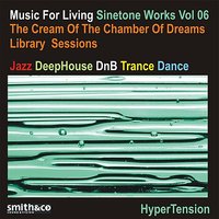 Run (On the Light Side of the Moon) - Sinetone