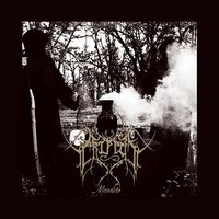 Livida e la Mia Ombra - Criptum