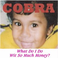 Shot up Bad - Cobra