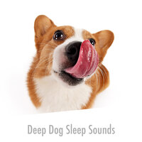 Dog Slumber Fulfilment - Dog Chill Out Music