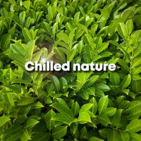 Peaceful Nature - Natural Sounds
