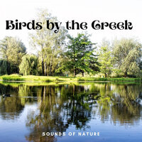 Wonderful Water Chute - Nature Vibrations & Nature TV & Natures Acoustics