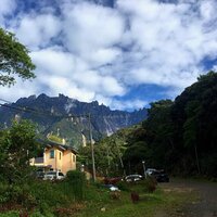 微风清凉（宝宝音乐启蒙、哄睡纯音乐） - 心灵解压屋