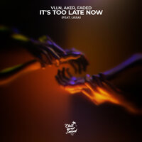 It's Too Late Now - VLLN & Aker & Ashkan & LissA