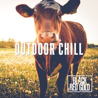 Banjo Bloopers - Black Red Gold