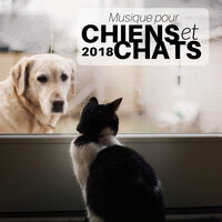 Musique pour Chiens et Chats 2018 - Musique Relaxante Relax