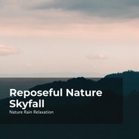 Still Rainfall in Nature - Rain Recorders & Rainfall & Nature Rain Relaxation