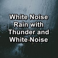 Forest Rain For Quiet Nights To Loop for 10 Hours - Nature Recordings & Sounds of Nature White Noise Sound Effects & Nature Spirit